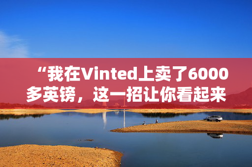 “我在Vinted上卖了6000多英镑，这一招让你看起来很绝望。”