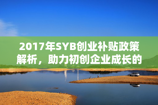 2017年SYB创业补贴政策解析，助力初创企业成长的利器