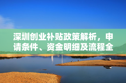 深圳创业补贴政策解析，申请条件、资金明细及流程全攻略