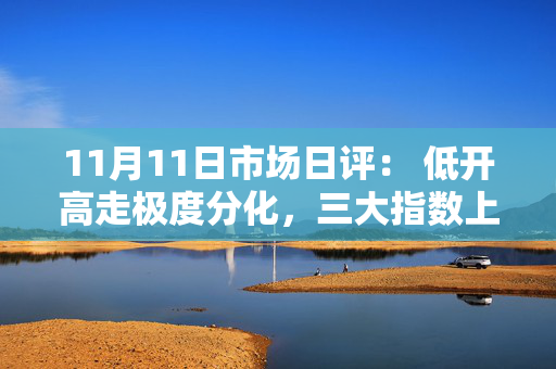 11月11日市场日评： 低开高走极度分化，三大指数上涨