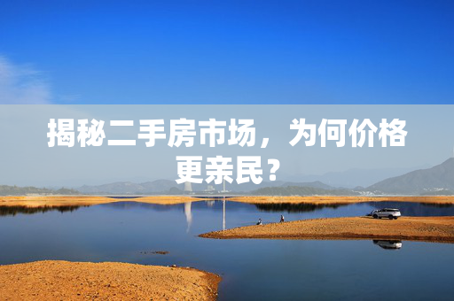 揭秘二手房市场，为何价格更亲民？