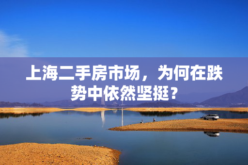 上海二手房市场，为何在跌势中依然坚挺？