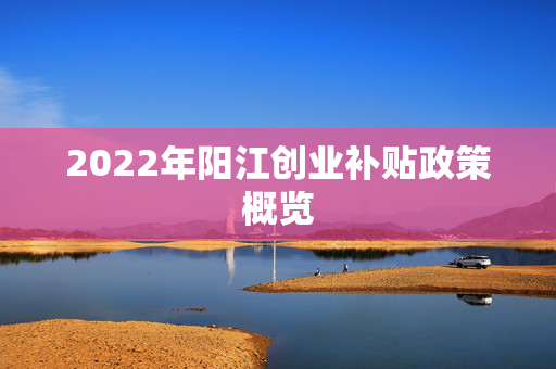 2022年阳江创业补贴政策概览