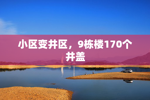 小区变井区，9栋楼170个井盖