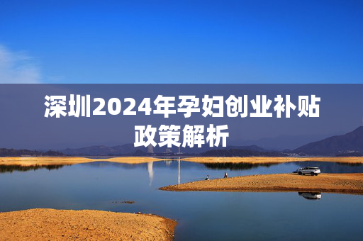 深圳2024年孕妇创业补贴政策解析