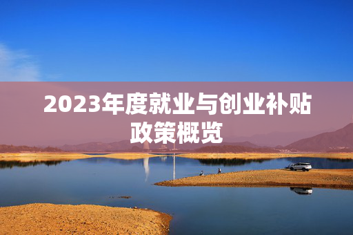 2023年度就业与创业补贴政策概览