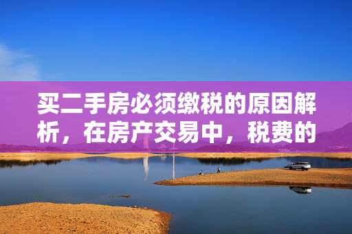 买二手房必须缴税的原因解析，在房产交易中，税费的缴纳是不可避免的重要环节。了解这些税费的具体种类和用途，不仅可以帮助买方合理规划资金，还能确保交易的合法性和顺利进行。本文将详细解析买二手房需要缴税的原因及其具体税种。